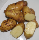 Kartoffelsorte La Ratt d'Ardeche