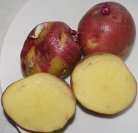 Kartoffelsorte Red Eys