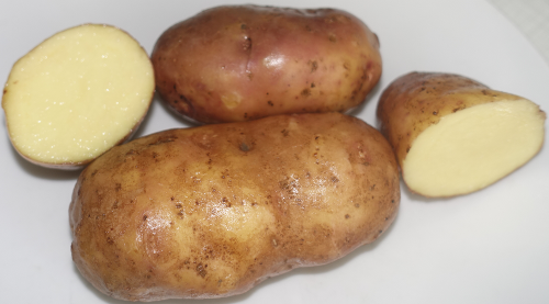 Kartoffelsorte Voran