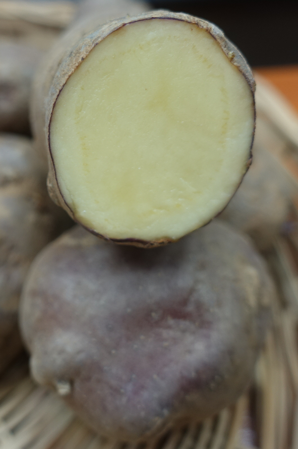 Kartoffelsorte Blauwe Eigenheimer