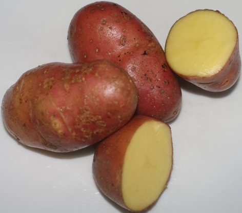 K�nig von Preu�en