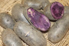 Kartoffelsorte Vitanoire