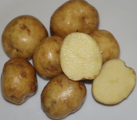 Wei�e L�tschentaler