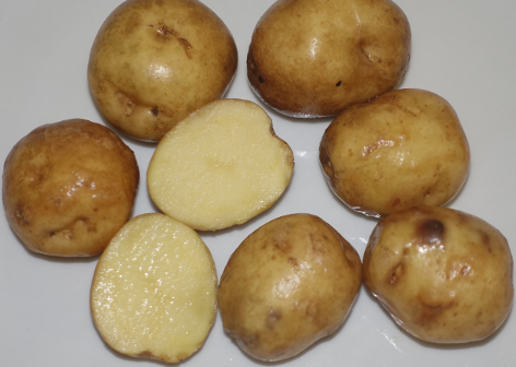 Wei�e L�tschentaler