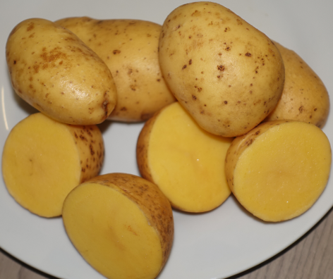 Kartoffelsorte Aztec Gold (Andengold)