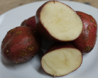 Rheinische Rote