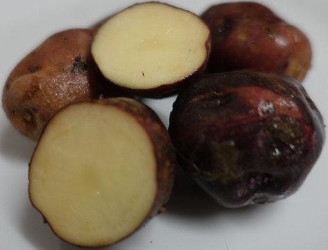 Kartoffelsorte Peluca