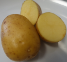 Kartoffelsorte Goldmarie